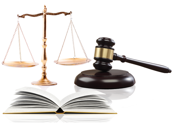 pizi tim sen img about us