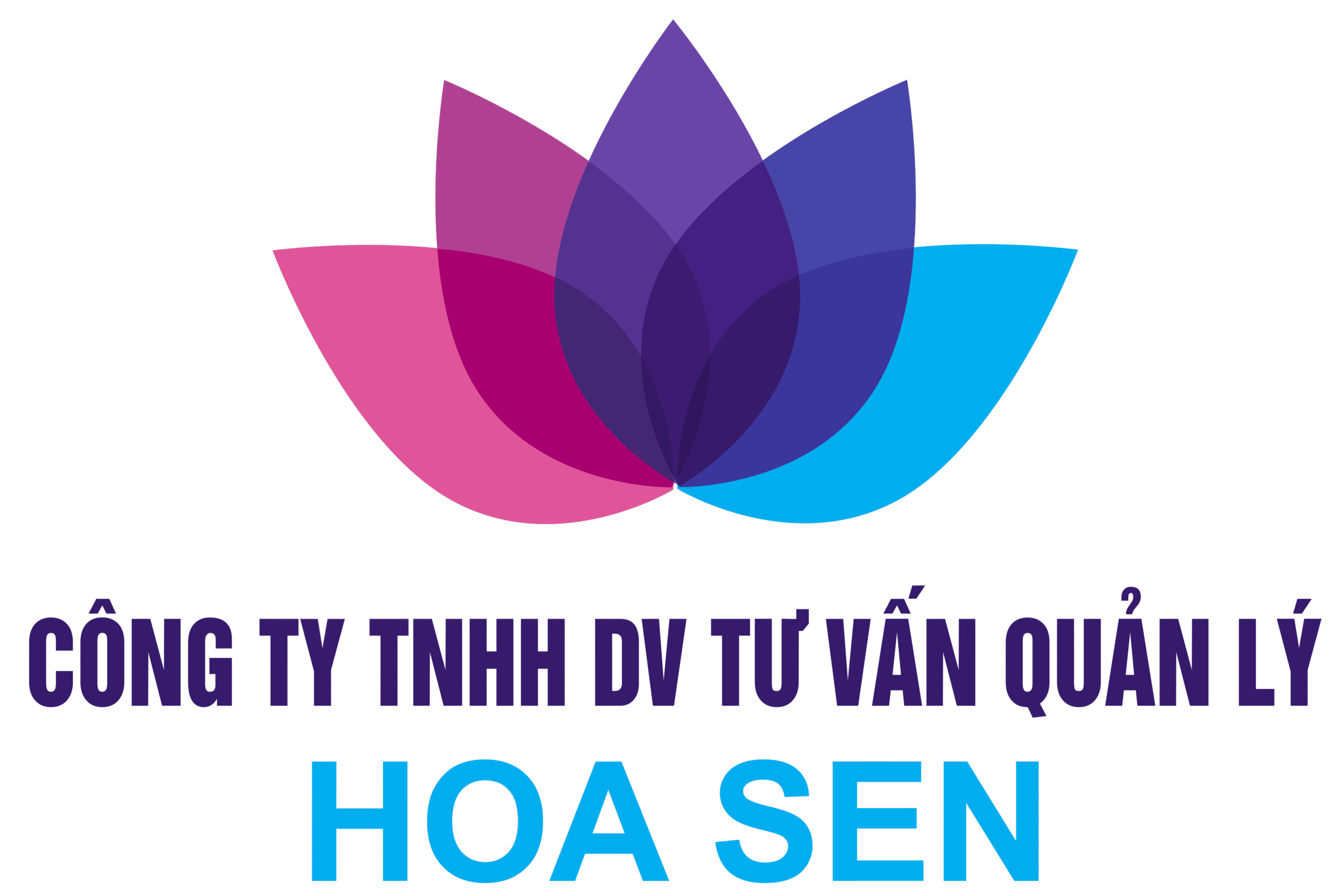 CTY HOA SEN